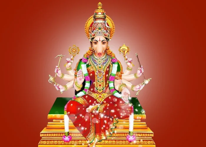 Kalashtami Special: Maa Varahi Devi Puja and Trantrokt Yagya blesses land/property with protection, prosperity, stability and growth.