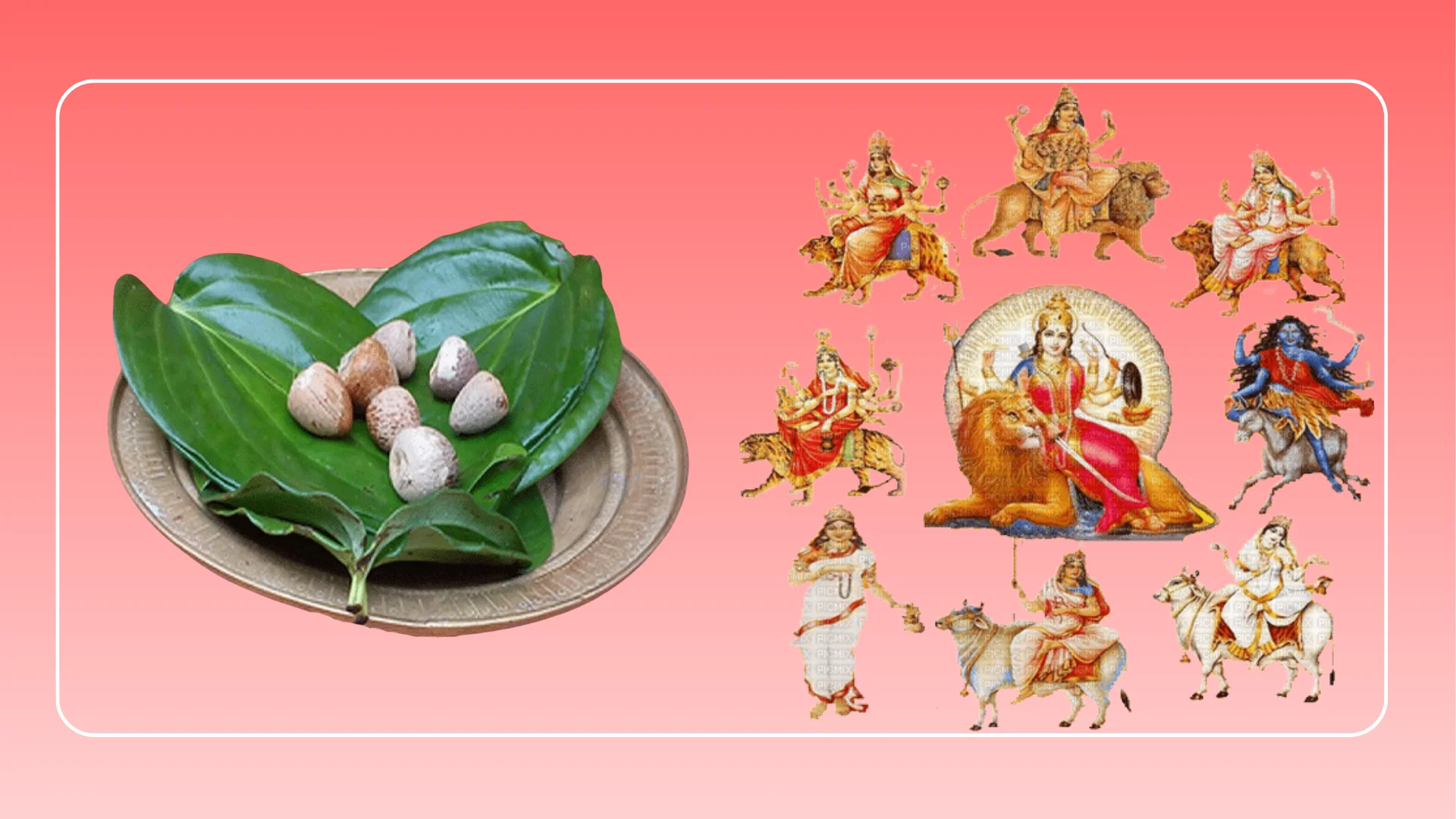 Paan Supari