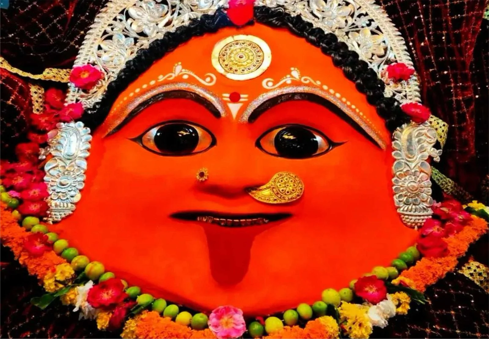 Gupt Navratri Special: Maa Gadhkalika Vishesh Puja and Chandi Yagya this ritual brings protection from negative energies, fulfillment of desires, and harmony in life.