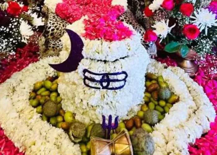 Rin Mukti Puja and Shiv Rudrabhishek for Remove Financial Burdens, debts, prosperity and Business and Career growth.