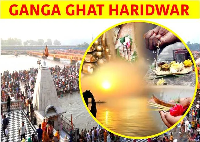 Shraddha Amavashya Special: Pitru Dosh Nivaran Puja and Til Tarpan to Remove Pitru Dosh, Health Issues, Financial Problems, and Career Difficulties