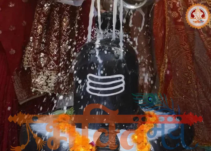 Maha Shivratri Special: 11,000 Mahamrityunjay Jaap, Shiv Mahapuja and Rudrabhishek Brings blessings of Lord Shiva for peace, prosperity, and spiritual growth.