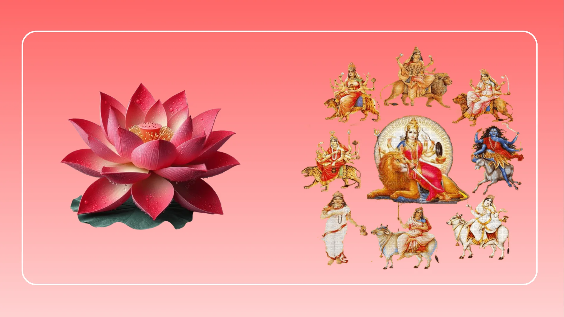 Lotus (Kamal Pushpa)