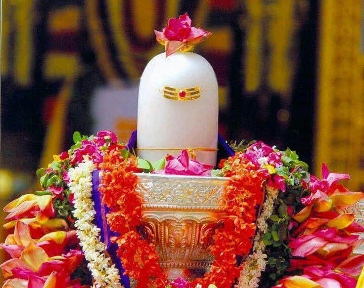 Maha Shivratri Special: Shiv Rudrabhishek and Rin Mukti Puja is believed to remove debt-related obstacles, strengthen Jupiter’s blessings for wealth and wisdom, and bring stability, protection, and fast relief from financial burdens.