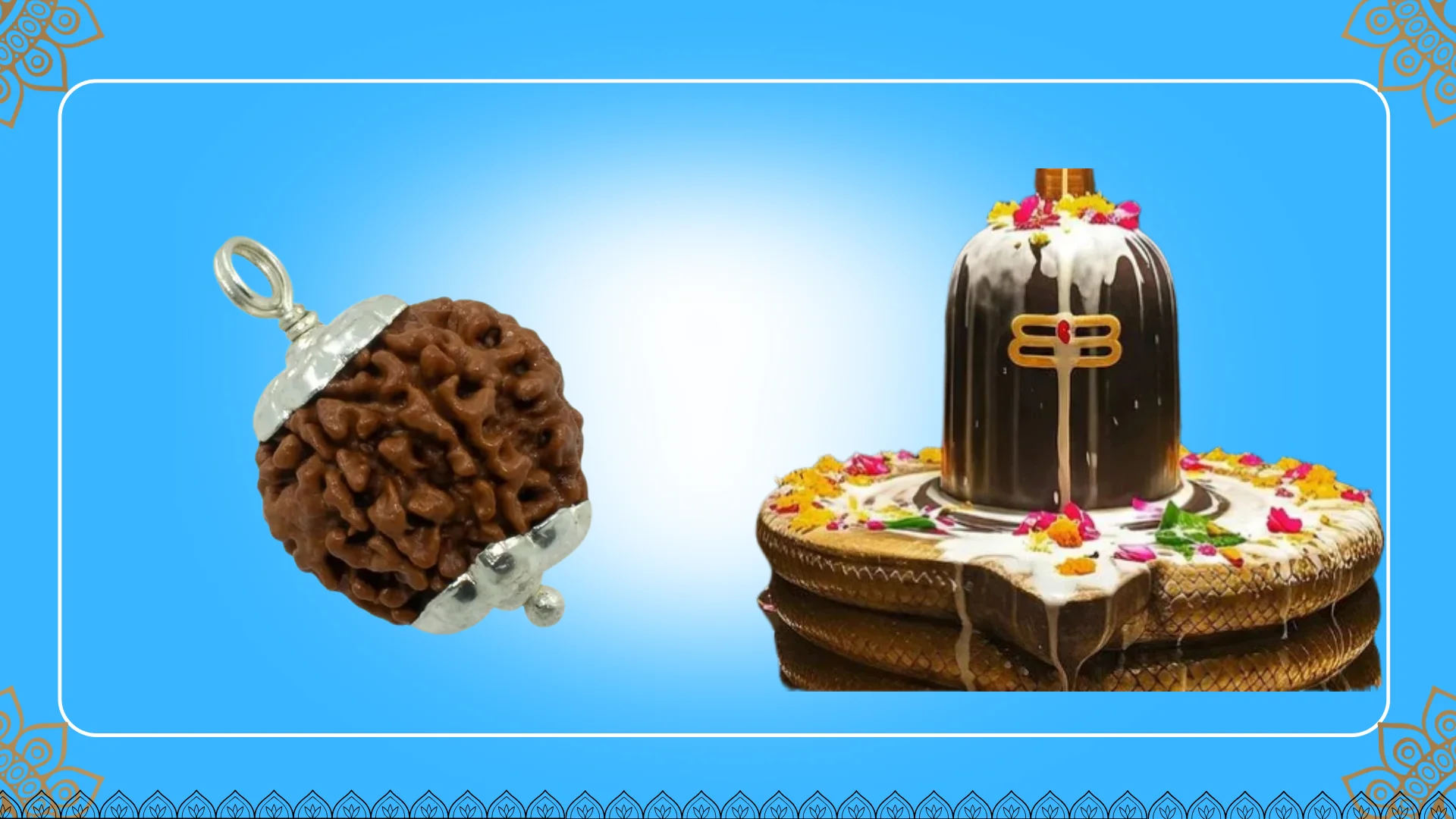 Abhimantrit 7 Mukhi Rudraksh with Silver Cap