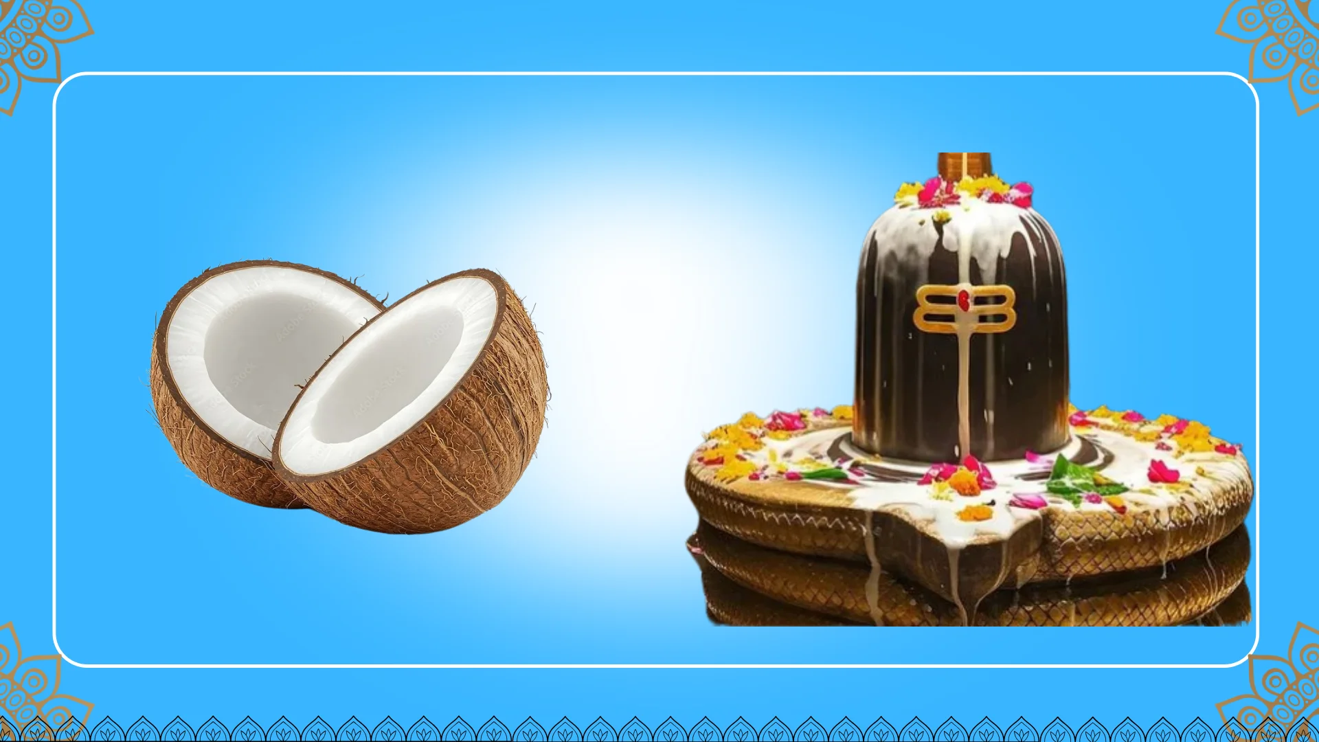 Coconut (Nariyal)
