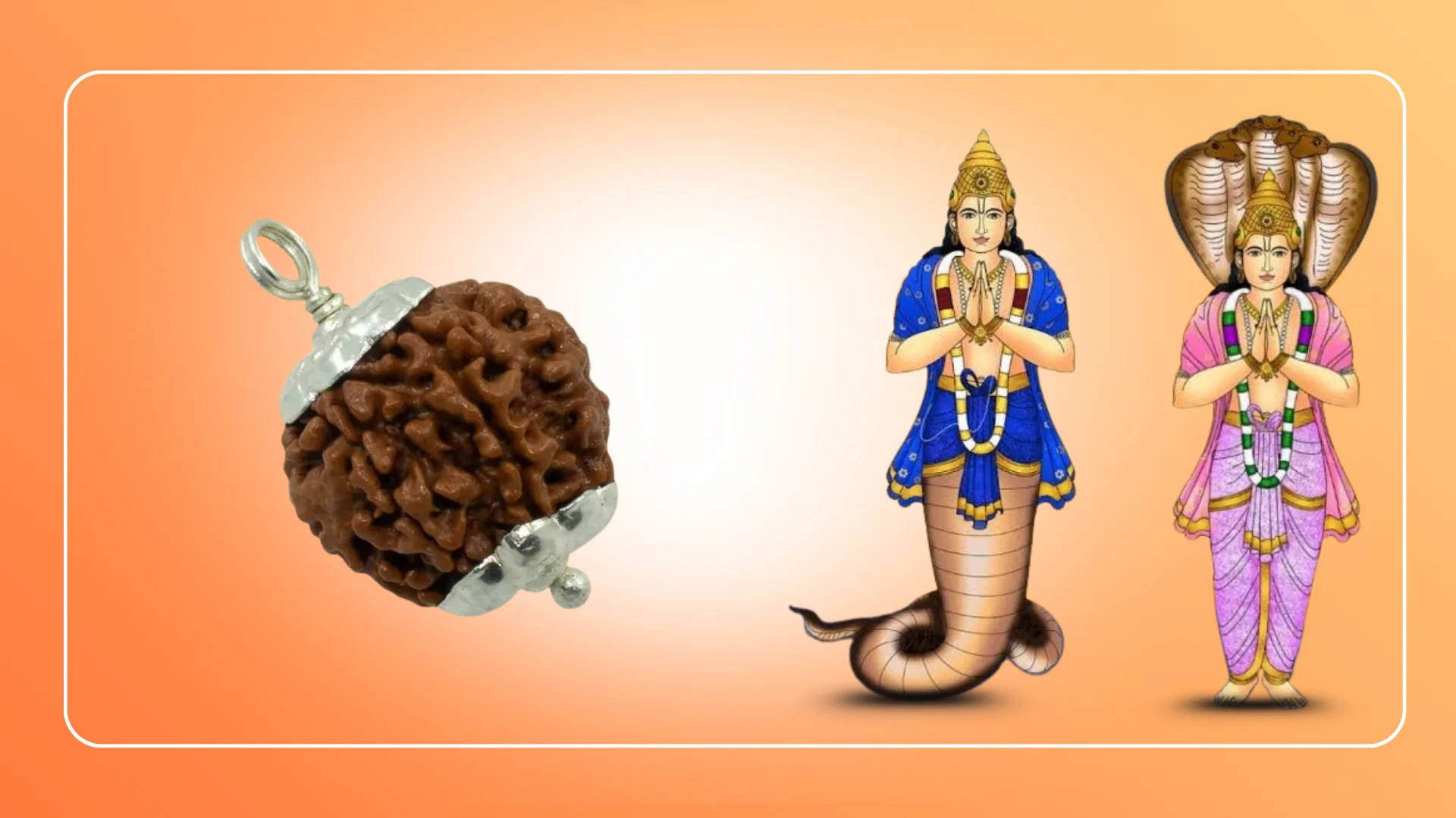 Abhimantrit 7 Mukhi Rudraksh with Silver Cap