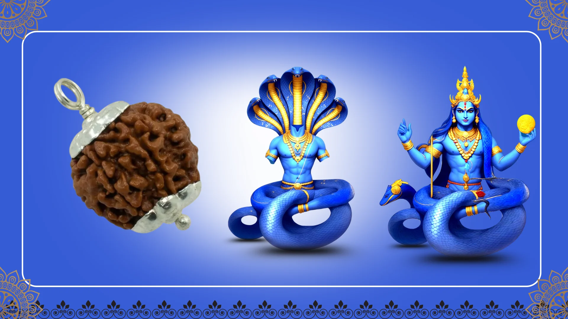 Abhimantrit 7 Mukhi Rudraksh with Silver Cap