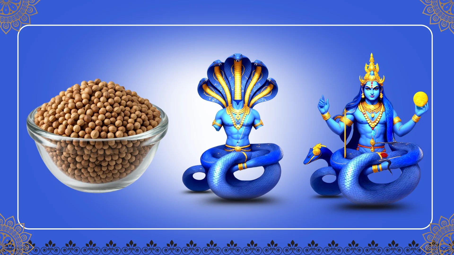 Coriander Seeds (Dhaniya)