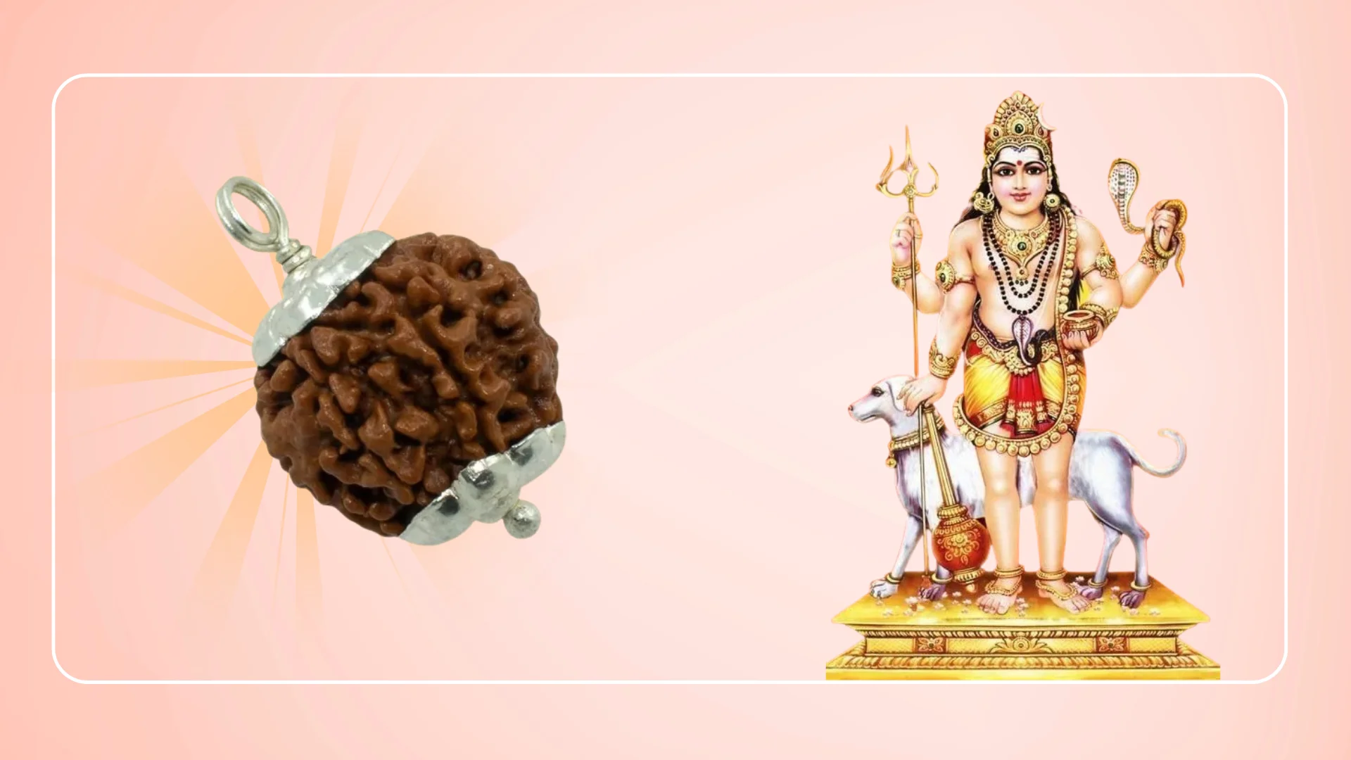 Abhimantrit 7 Mukhi Rudraksh with Silver Cap