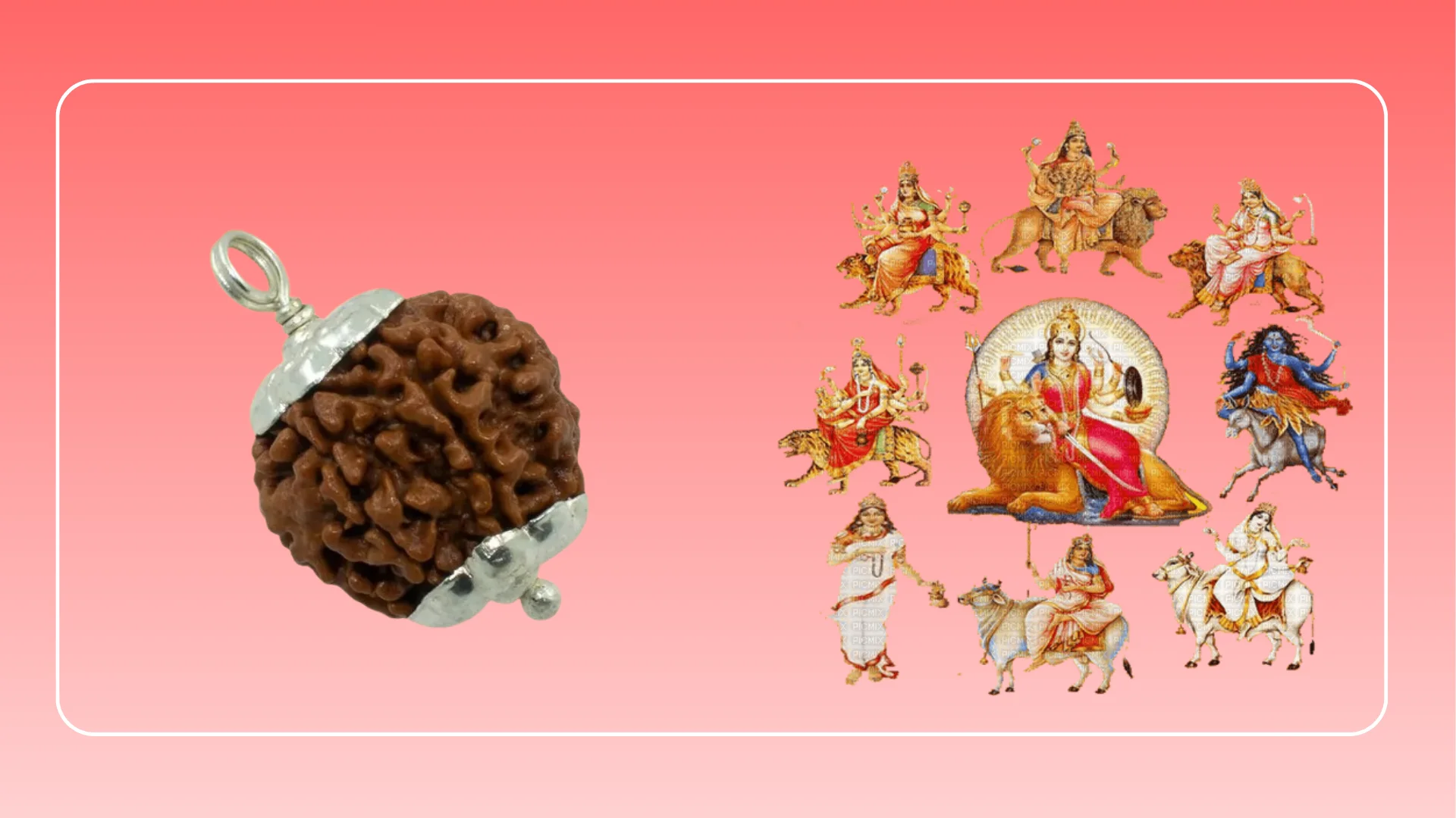 Abhimantrit 7 Mukhi Rudraksh with Silver Cap