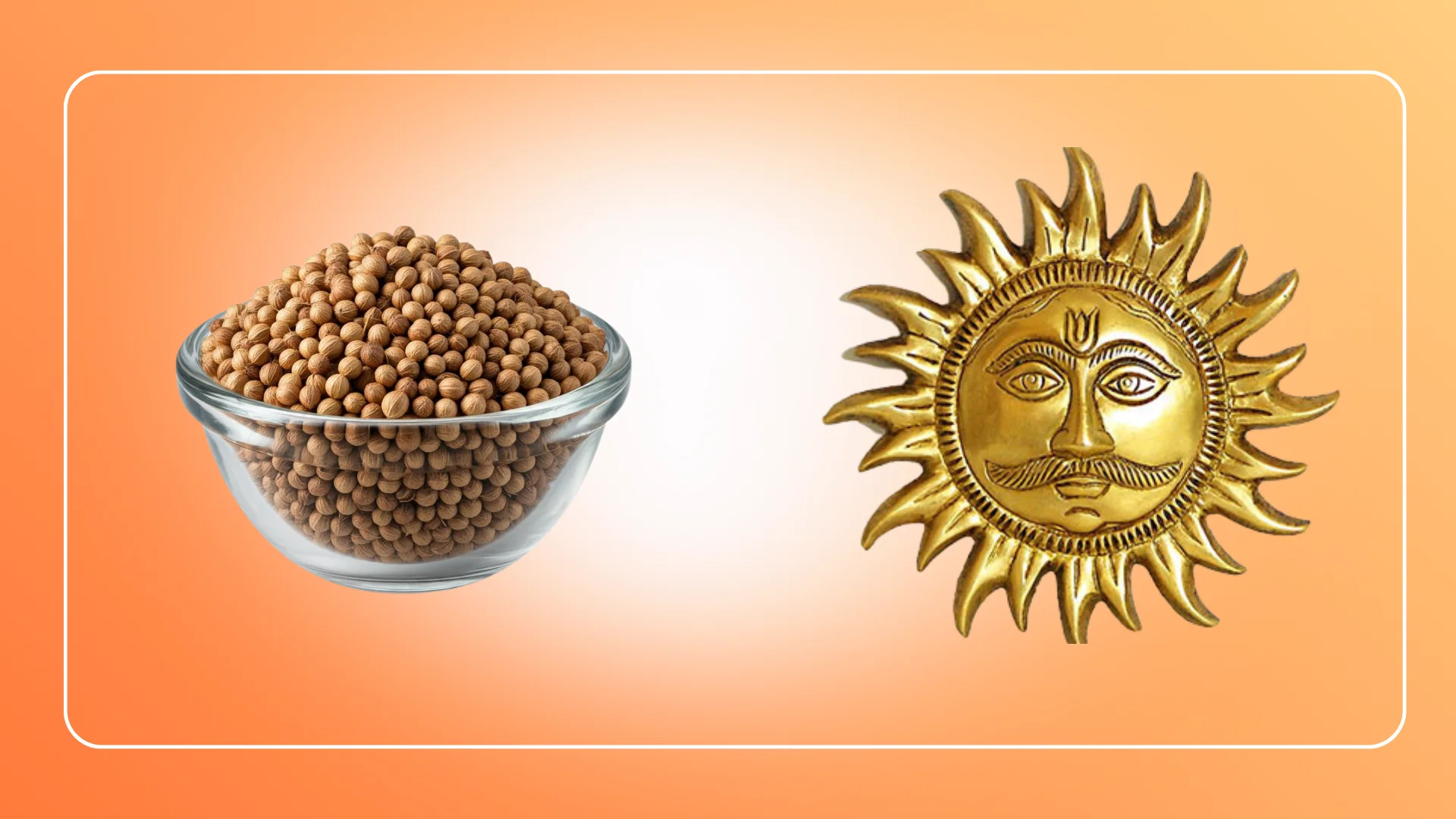 Corriander Seeds(Dhaniya)