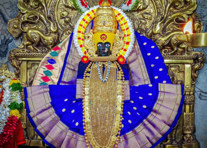 Chaitra Navratri Special: Mahalakshmi Dhan-Varsha Puja & Sri Sukta Jaap Attracts continuous flow of wealth, removes financial blockages, business growth, debt relief, and long-term prosperity with the divine blessings of Maa Mahalakshmi.