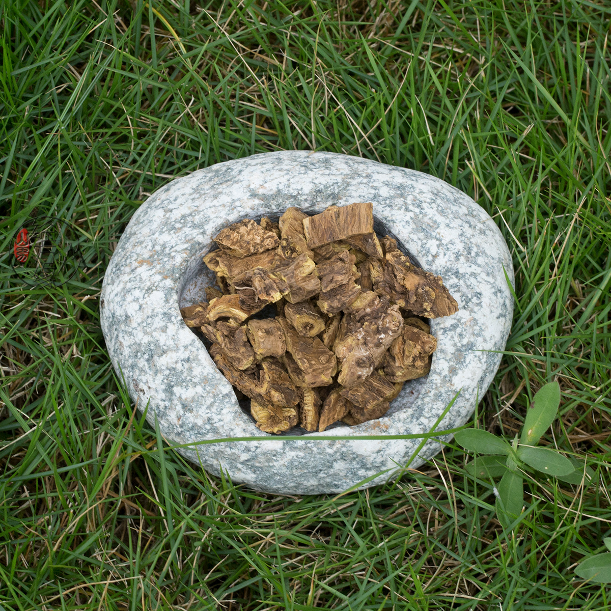 Дикий натуральный лекарственный травяной корень Шань Цин 250г из Внутренней Монголии, без серы, оптовая продажа