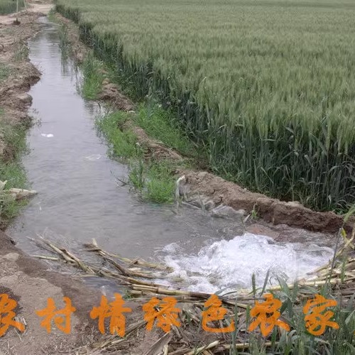 2024 Новый фермерский самокатаный мука из белой пшеницы, подходит для вареников, лапши, паровых булочек и блинов