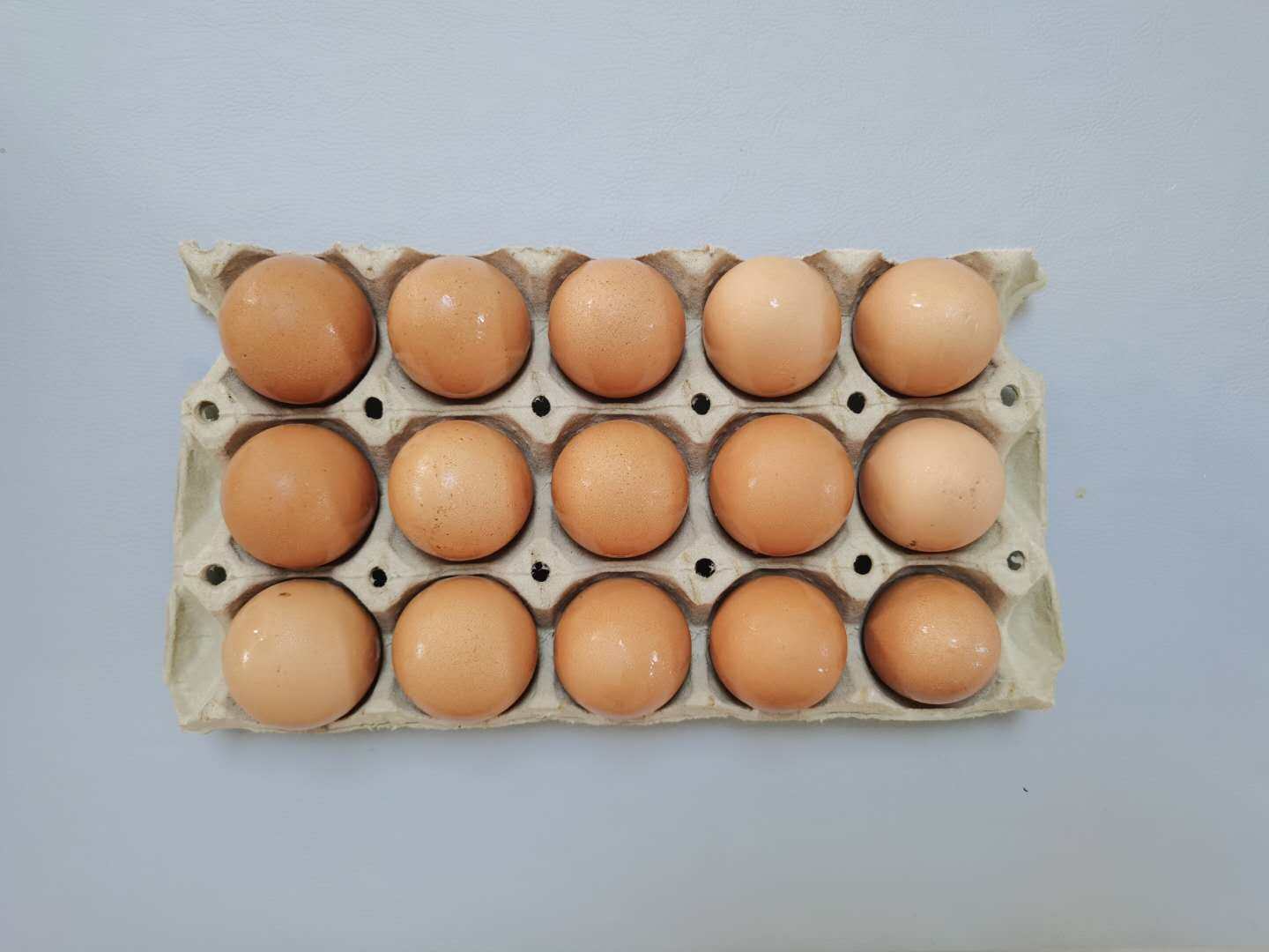 Лоток для 15 яиц в подарочной упаковке из бумажной массы для деревенских яиц, амортизирующий транспортировочный лоток