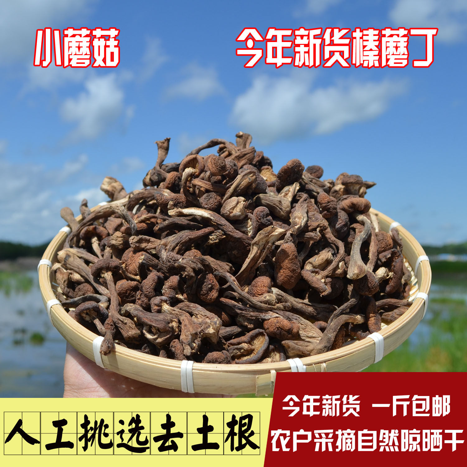 Свежий урожай диких лисичек 500г с бесплатной доставкой, сушеные продукты из северо-востока Китая, куриный рагу с лисичками без корней