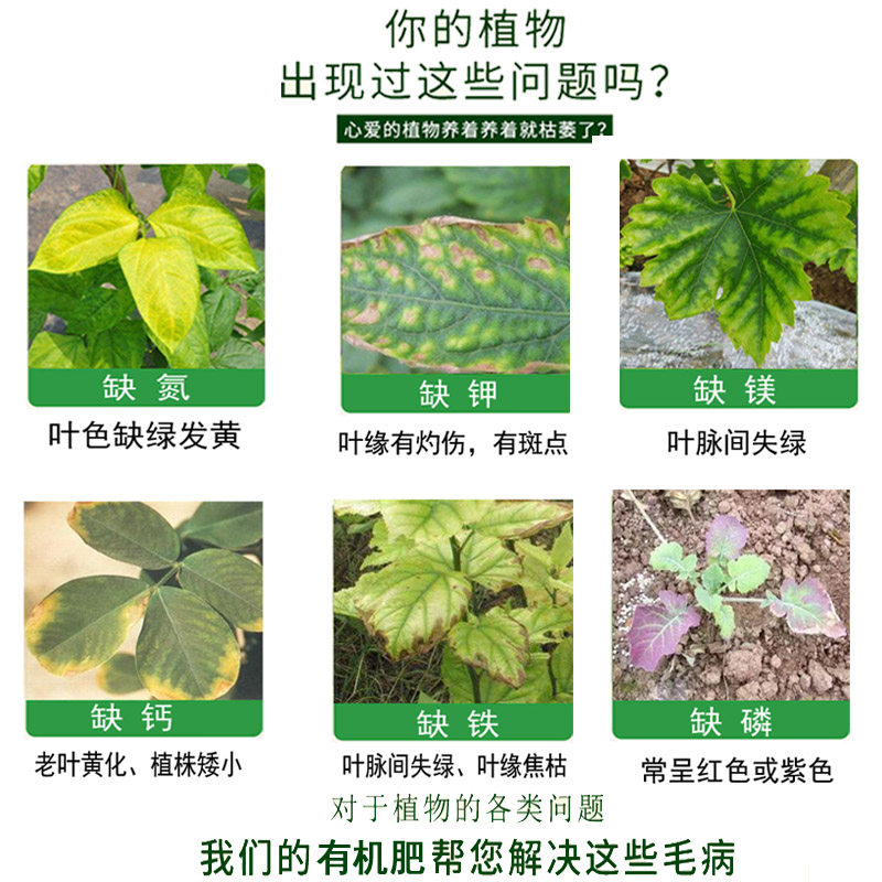 Ферментированное органическое удобрение из овечьего и куриного помёта с арахисовой мукой для комнатных растений, овощей и цветов