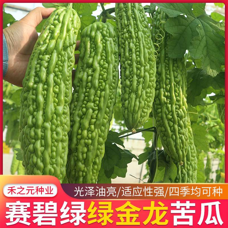 Семена горькой дыни Saibilu для весны, осени и зимы, рассада горькой дыни, полный набор семян овощей для всех сезонов