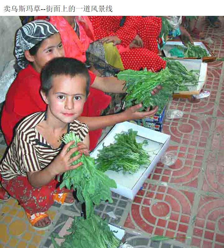 Порошок шампуня из чистой травы Усман из Синьцзяна для улучшения выпадения волос, контроля жирности, питания кожи головы, уменьшения перхоти и увеличения густоты волос