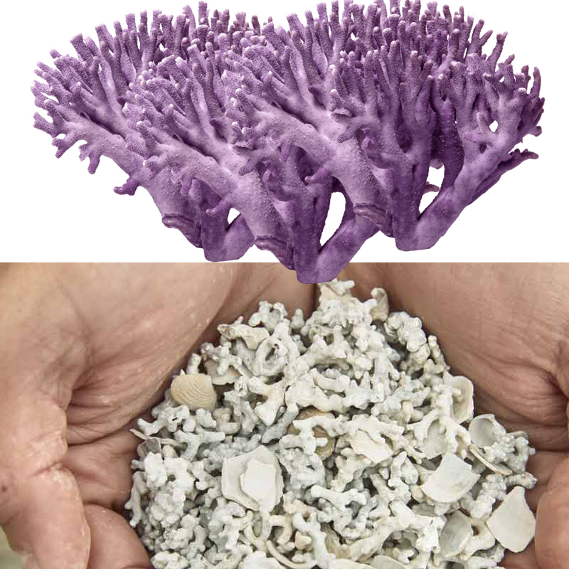 Кальций и магний Amway Nutrilite из США для подростков, беременных, взрослых и пожилых