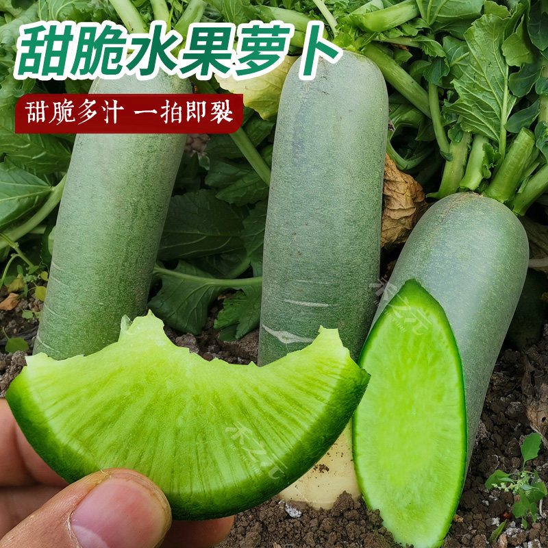 Семена зеленой редьки Шао из Тяньцзиня, полный ассортимент осенняя и всесезонная коллекция овощей с фермы Шаньдун