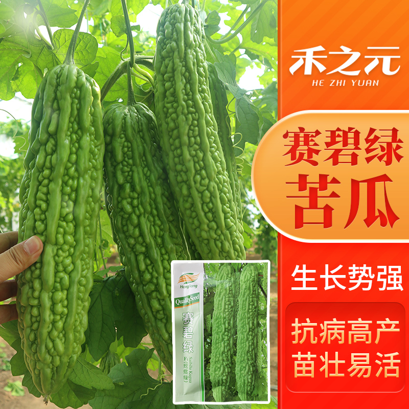 Семена горькой дыни Saibilu для весны, осени и зимы, рассада горькой дыни, полный набор семян овощей для всех сезонов