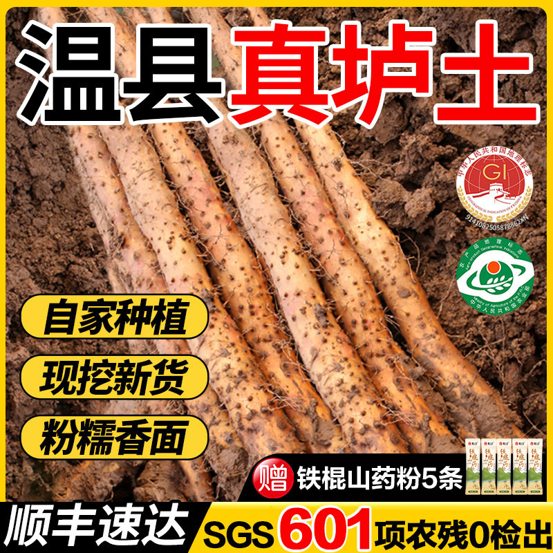 Ямс Хуайтaо типа铁棍, подлинный почвенный ямс из Вэньсянь, Цзяоцзо, Хэнань, свежий, 5 цзинь