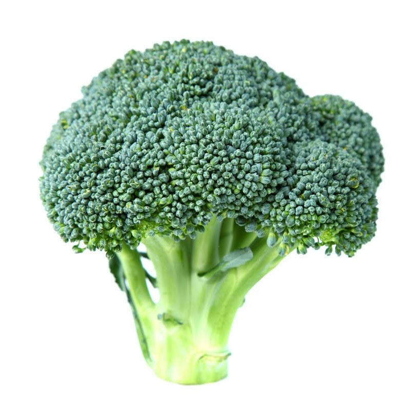 Семена брокколи, саженцы брокколи Манду зеленая цветная капуста, высококачественные семена брокколи