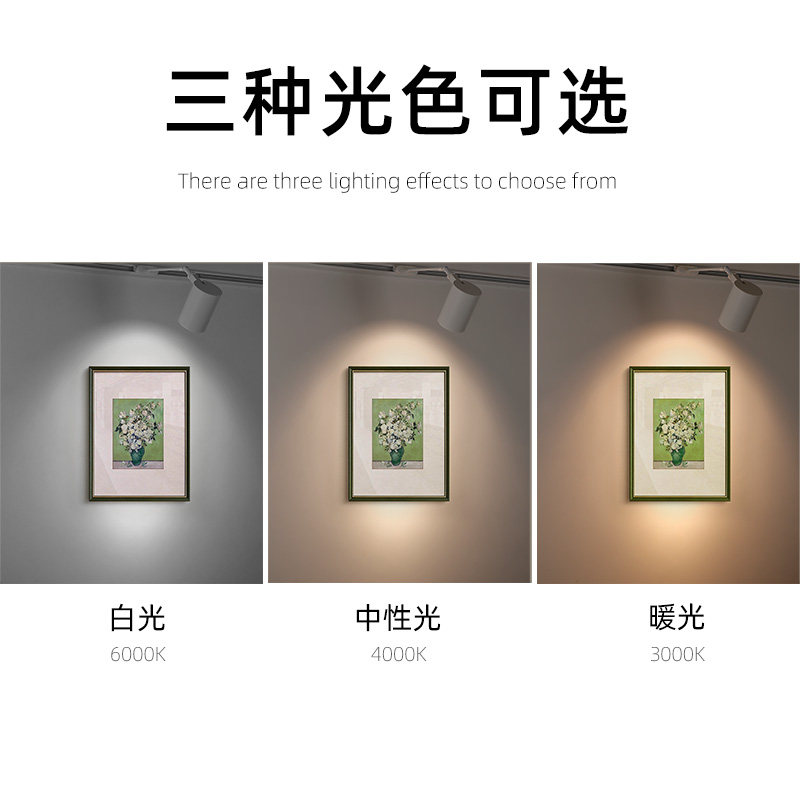 横装侧装长杆画展厅灯高层聚光侧轨道射灯座式水果服装商店