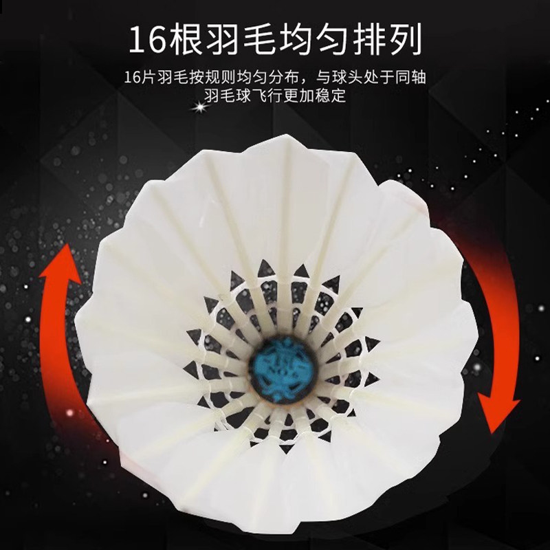 RSL7 ASLION Волан из Гусячьего Пера Официальный Подлинный Долговечный Для Профессиональных Тренировок Размеры 5, 6, 7, 10 RSL40