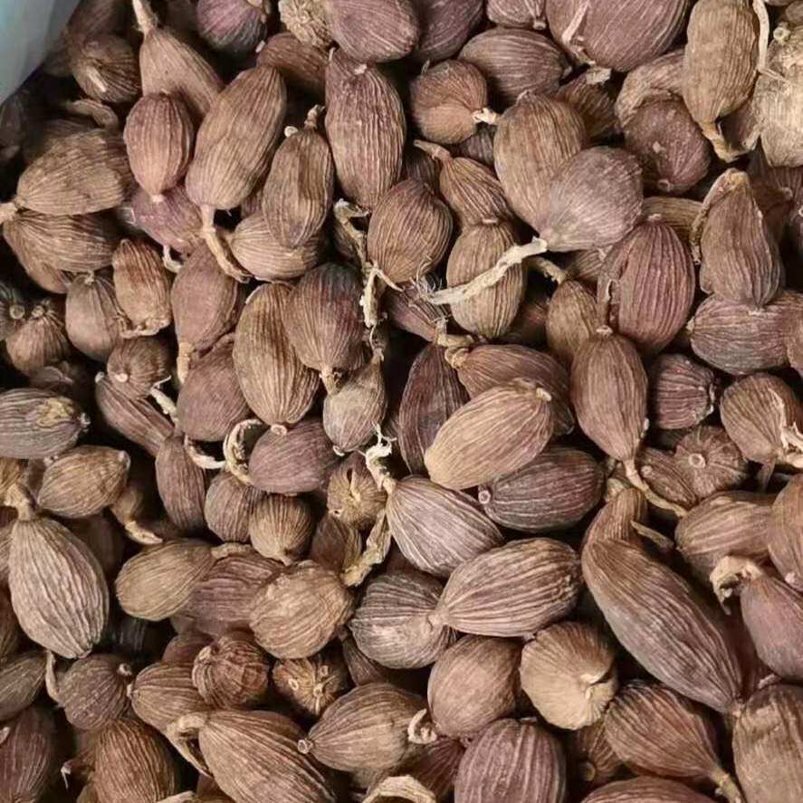 Сушёный амомум из Юньнани, отборный, 500г 250г, бесплатная доставка, специя для кухни, свежий, для тушеного мяса