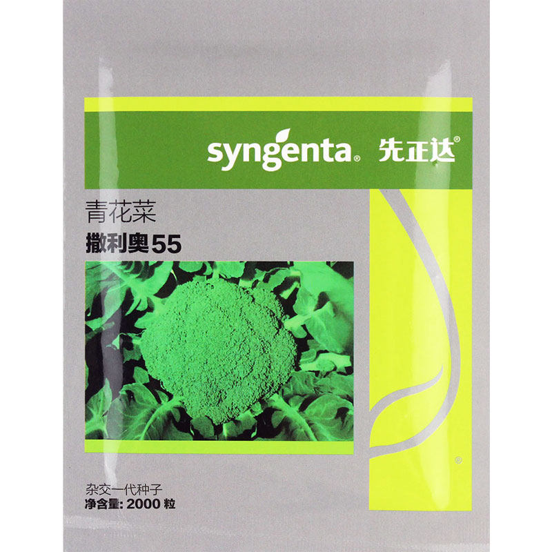 Семена брокколи, саженцы брокколи Манду зеленая цветная капуста, высококачественные семена брокколи