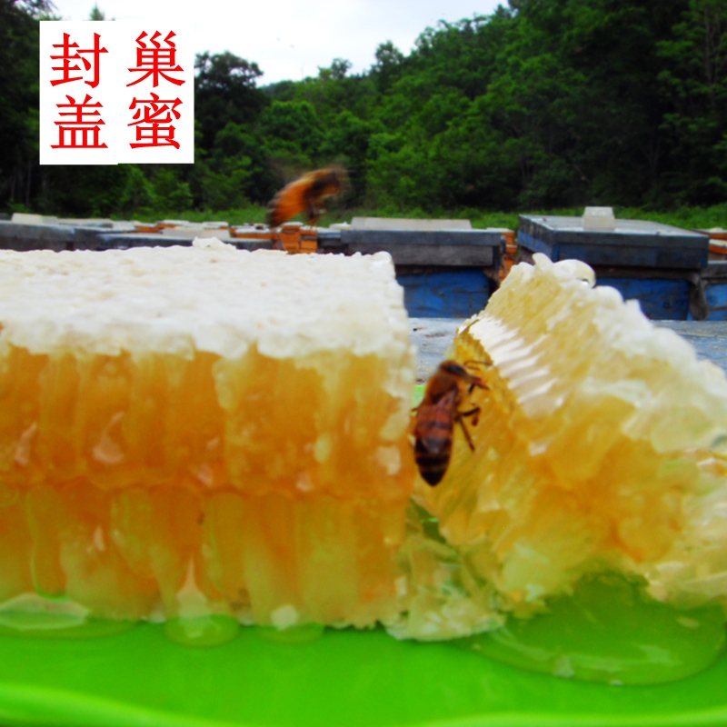 Свежий дикий мед шизандры из глубоких гор, сырой мед домашнего производства, натуральный дикий зрелый многоцветочный мед без добавок