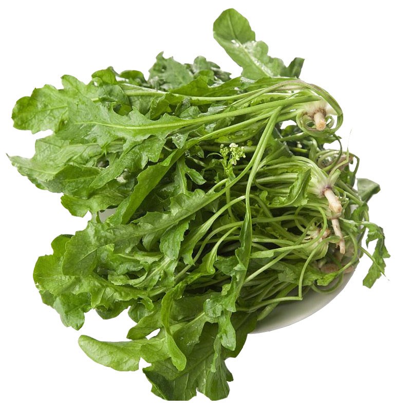 Полный набор семян сырца | Семена дикорастущих овощей с большими листьями на все сезоны | Съедобные семена сырца для горшечного выращивания