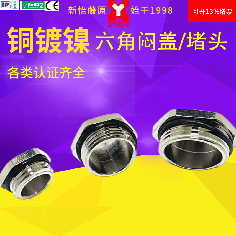 Металлическая никелированная внешняя шестигранная водонепроницаемая заглушка с резьбой M метрическая немецкая резьба