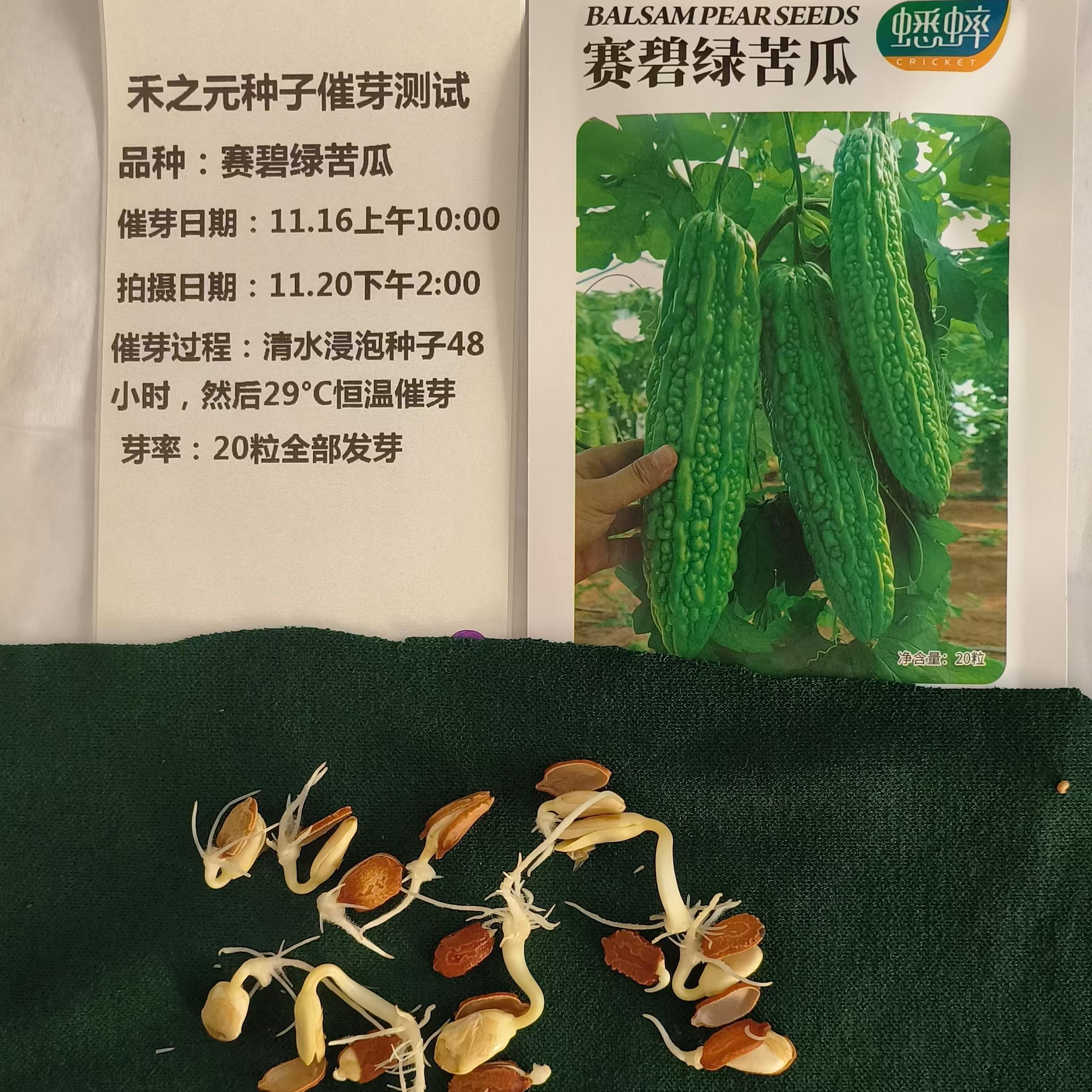 Семена горькой дыни Saibilu для весны, осени и зимы, рассада горькой дыни, полный набор семян овощей для всех сезонов