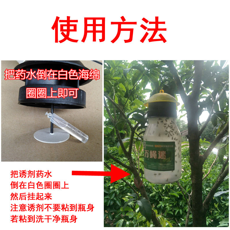 Ловушка для дрозофил, клеящая лента, жидкий аттрактант пятого поколения, средство от дрозофил и привлекатель бесшпильчатых ос