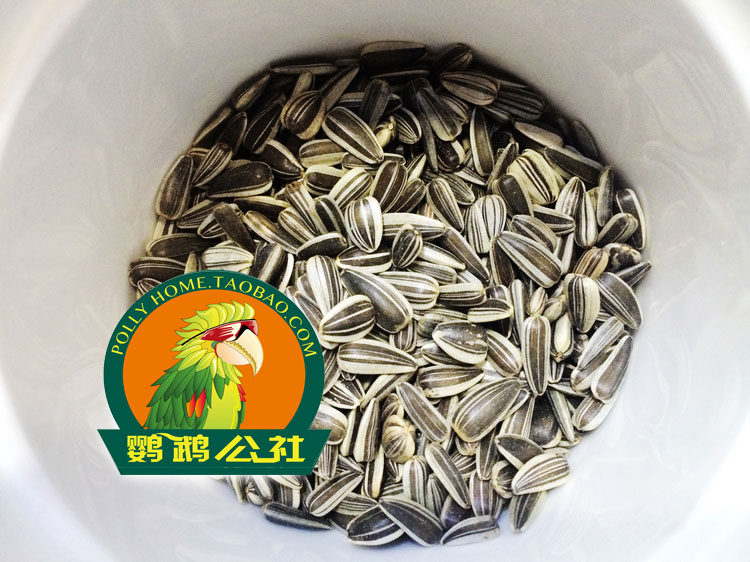 Импорт из Бельгии / Семена Подсолнечника для Средних и Крупных Попугаев / Монах Попугай / Серый Попугай Amazon / Подсолнух Попугай