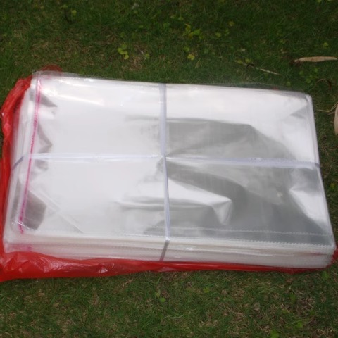 Shede Packaging Индивидуальные самоклеящиеся пакеты OPP с прозрачной пластиковой упаковкой для одежды