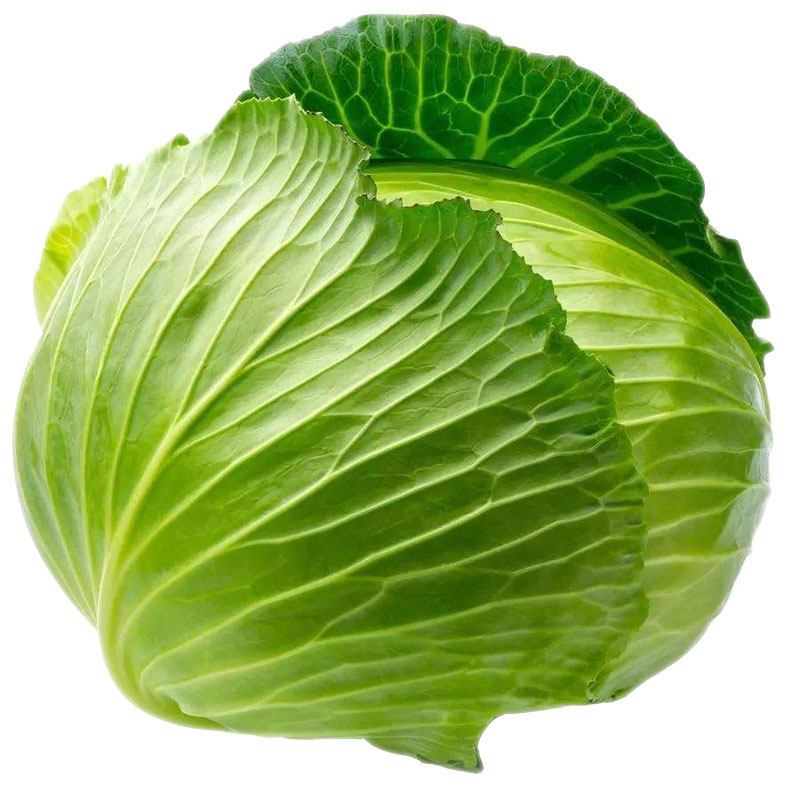 Семена капусты, рассада капусты, семена кочанной капусты, круглая капуста