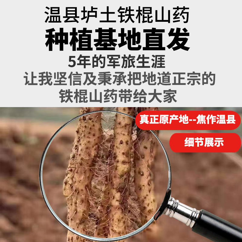 Аутентичный местный фермерский железный батон ямс свежий Хуай ямс ломтики 5 цзинь из Хэнань Цзяочжоу