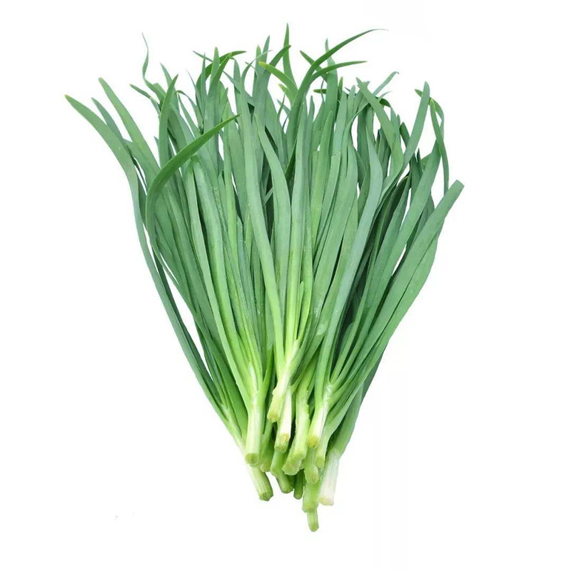 Семена чеснока Xuejiu широколистные четырехсезонные для горшков с корнеплодами, мелкие листья, саженцы