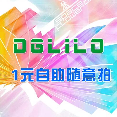 【DgLiLo】Самостоятельная покупка за один юань с гибким выбором и корректировкой, модель Linglong из Дунгуан, RC модель