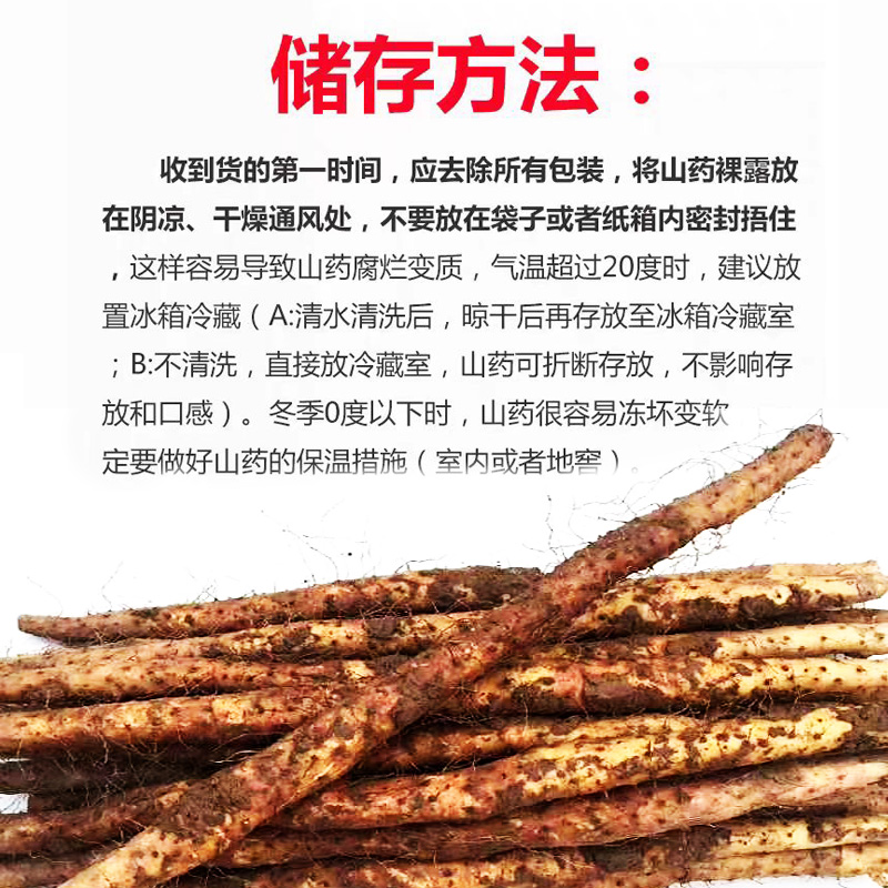 Аутентичный местный фермерский железный батон ямс свежий Хуай ямс ломтики 5 цзинь из Хэнань Цзяочжоу