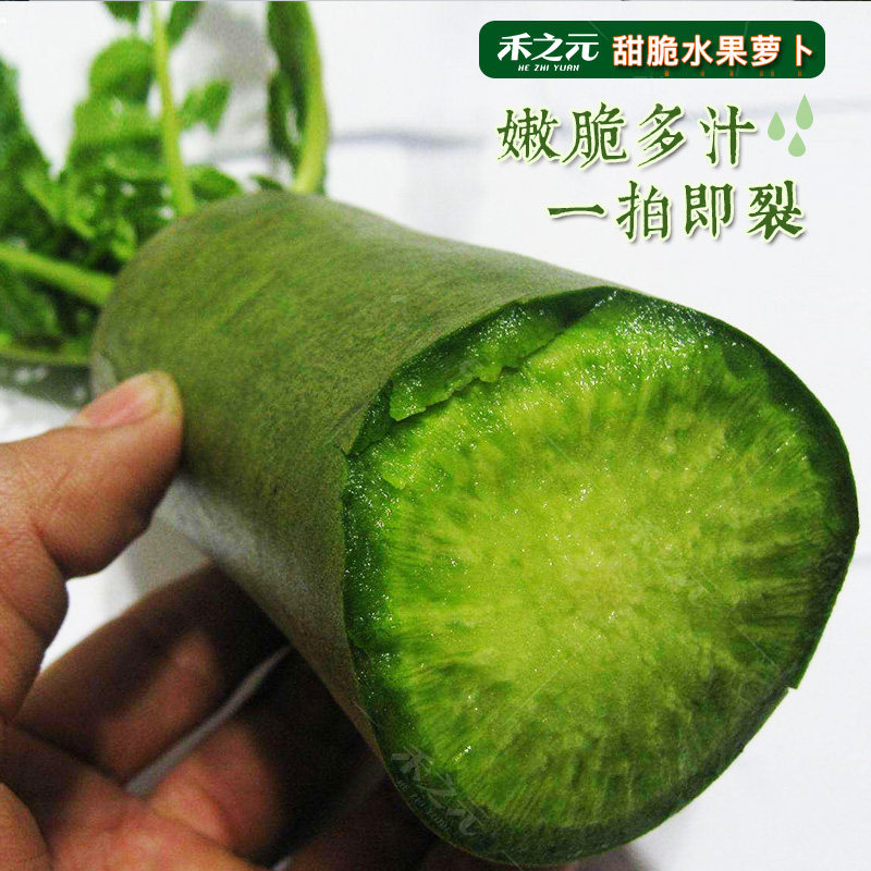 Семена зеленой редьки Шао из Тяньцзиня, полный ассортимент осенняя и всесезонная коллекция овощей с фермы Шаньдун