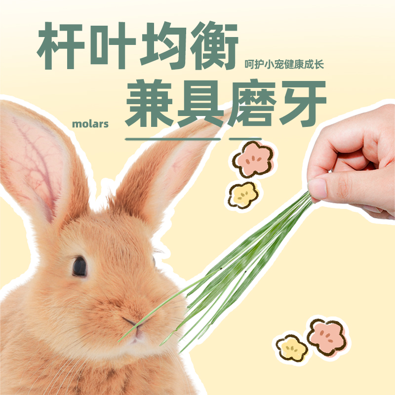 Сено Тимоти засушенное кормовое сено для кроликов, морских свинок и голландских свиней