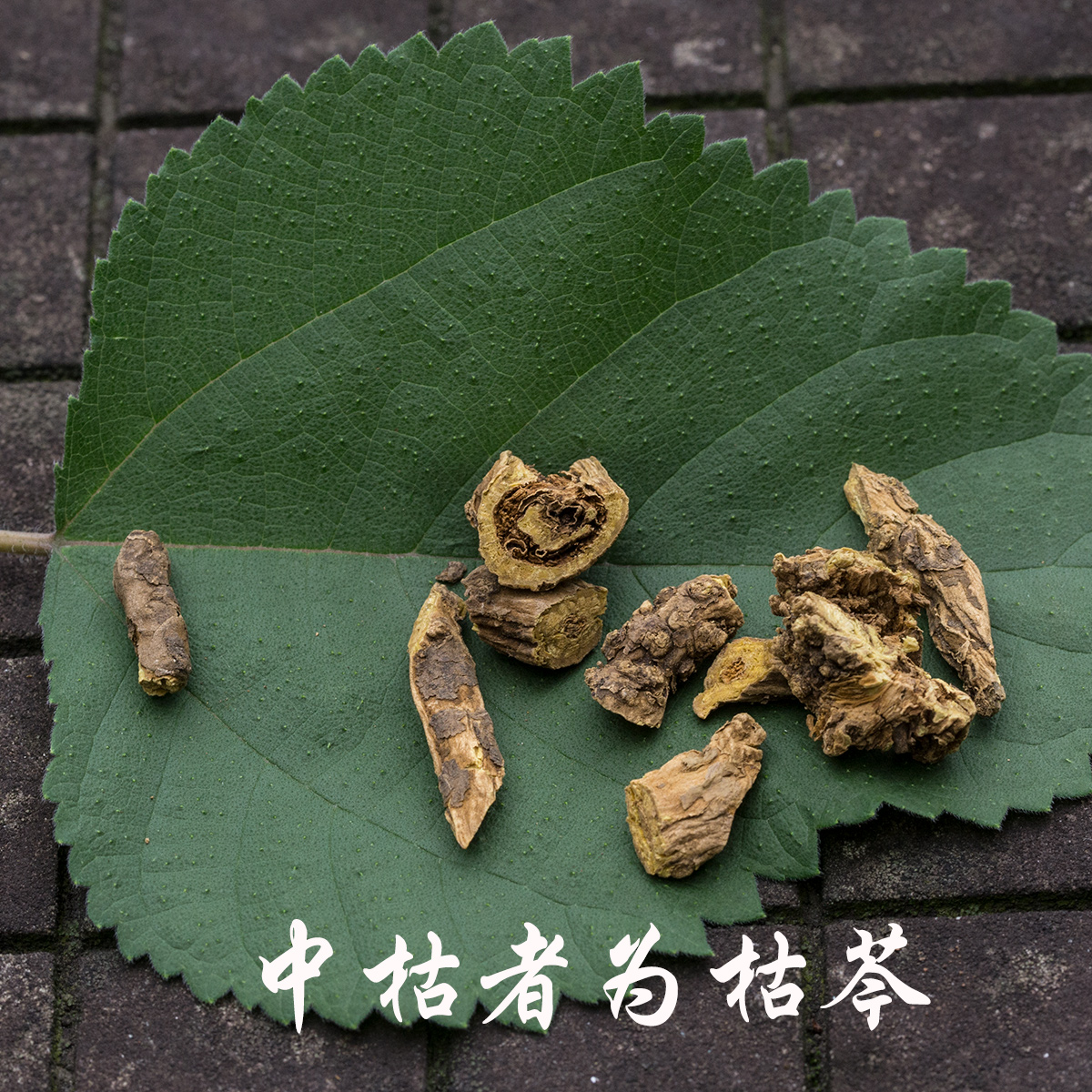 Дикий натуральный лекарственный травяной корень Шань Цин 250г из Внутренней Монголии, без серы, оптовая продажа