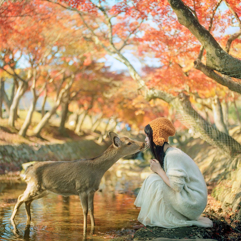 Япония одноразовая туристическая виза подача в Шанхае CITIC Travel полный возврат при отказе упрощенная ускоренная процедура студенты 3-летняя 5-летняя многократная виза Шанхай