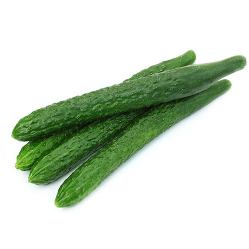 Высокопродуктивные традиционные семена и саженцы огурца с зеленым сердцем для осенних овощей и фруктов